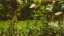 img-1ae459e367a38211422a3cb9487c5e37.jpg