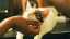 img-fdf46496881b227bc1dcb8dc3b625ce7.jpg